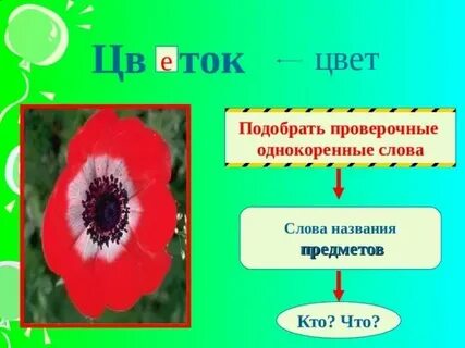 Почему в слове растение
