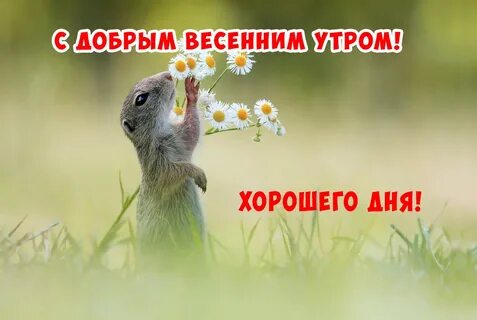 Доброе утро синонимы