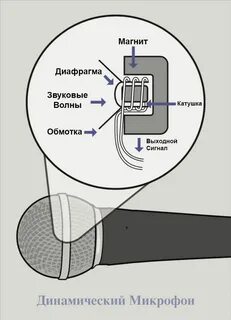Перечислите устройство микрофона