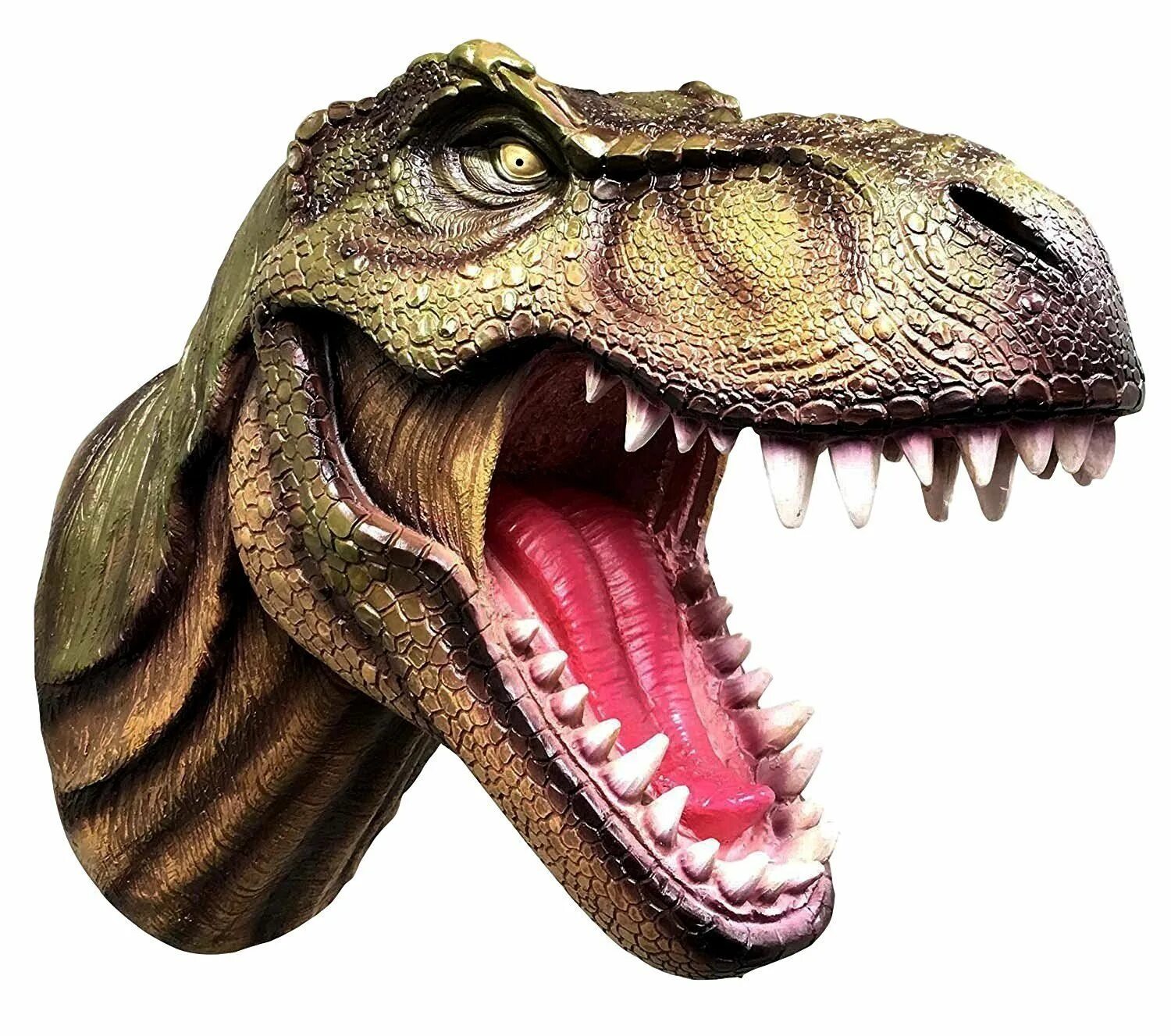 Тирекс динозавр. Голова динозавра. Морда динозавра. Голова тираннозавра.