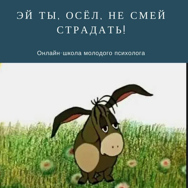 Ослик из Винни пуха. Ослик и я из Винни пуха. Ослик ИА. Грустный ослик ИА. День грустных осликов картинки