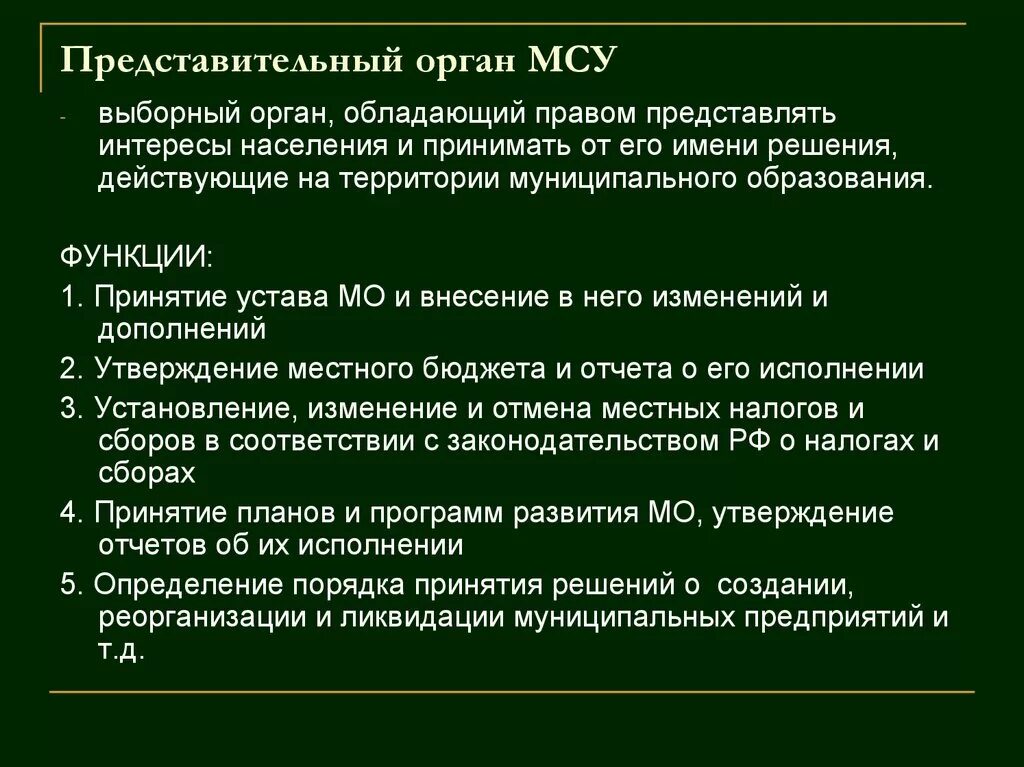 Представительный местный орган вправе. Представительный орган местного самоуправления. Представительный орган МСУ. Представительные органы самоуправления. Представительные органы в системе местного самоуправления.