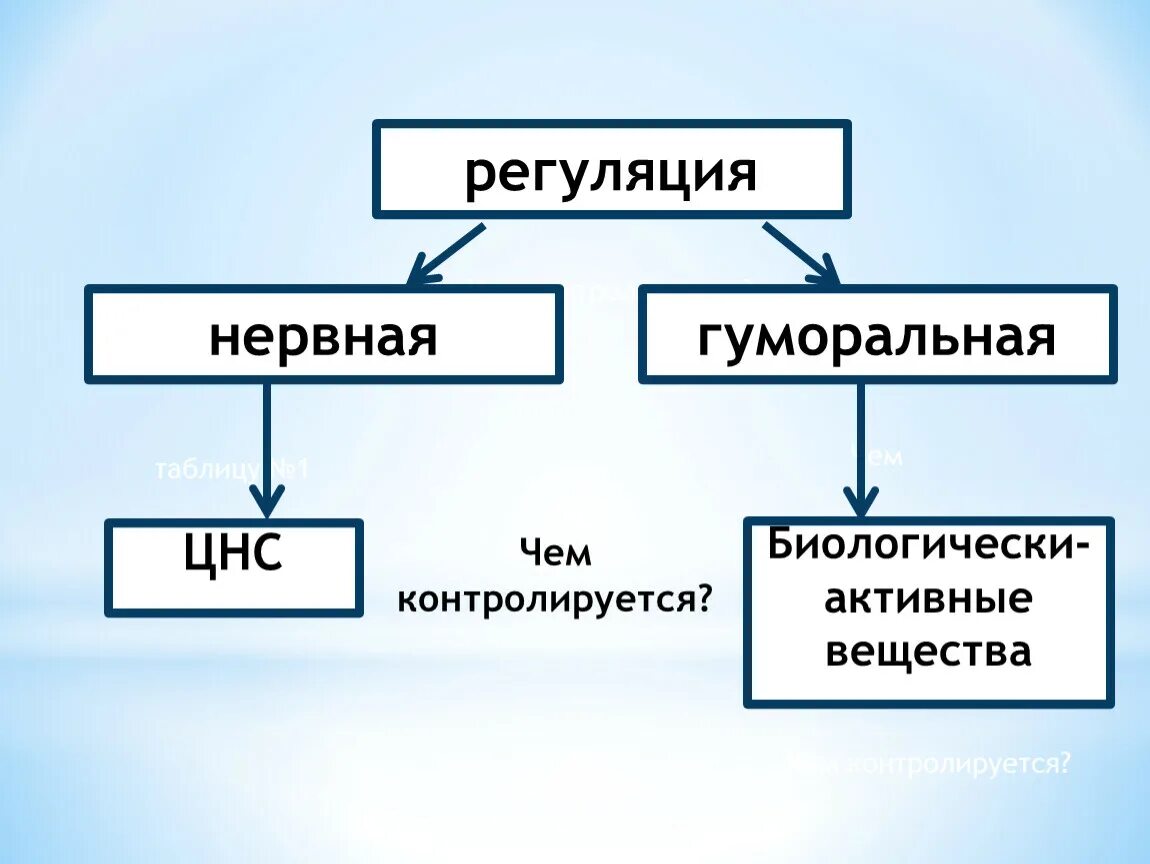 Нервно гуморальная реакция. Нервная и гуморальная регуляция пищеварительной системы. Гуморальная регуляция пищеварения. Нервная регуляция пищеварения схема. Нервная система и гуморальная регуляция.