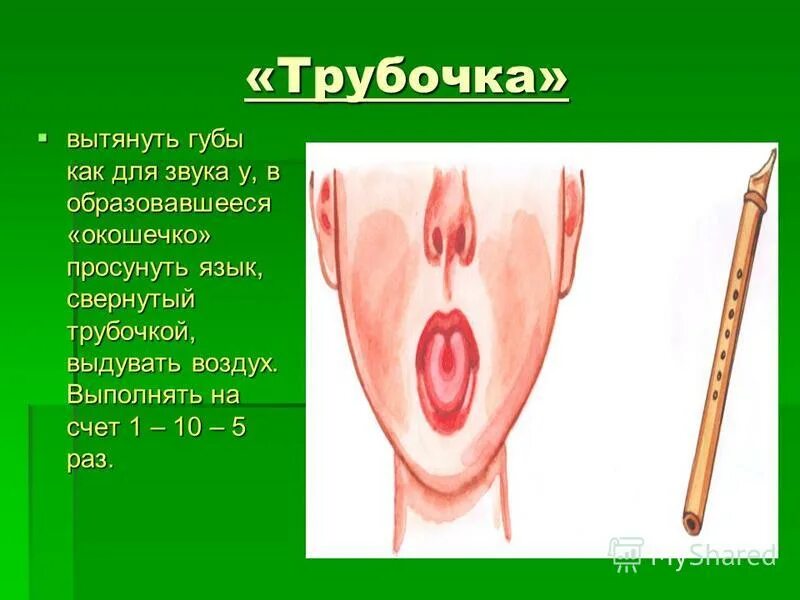 Трубочка гимнастика для языка. Трубочка языком упражнение. Сворачивание языка в трубочку. Звук трубочки