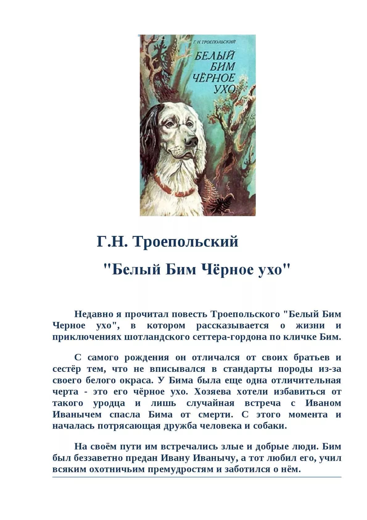 Рассказ белый бим краткое содержание. Белый бим черное ухо. повесть.. повесть троепольского белый бим черное ухо. отзыв по книге троепольского белый бим черное ухо. рассказ чёрный бим белое ухо полное.