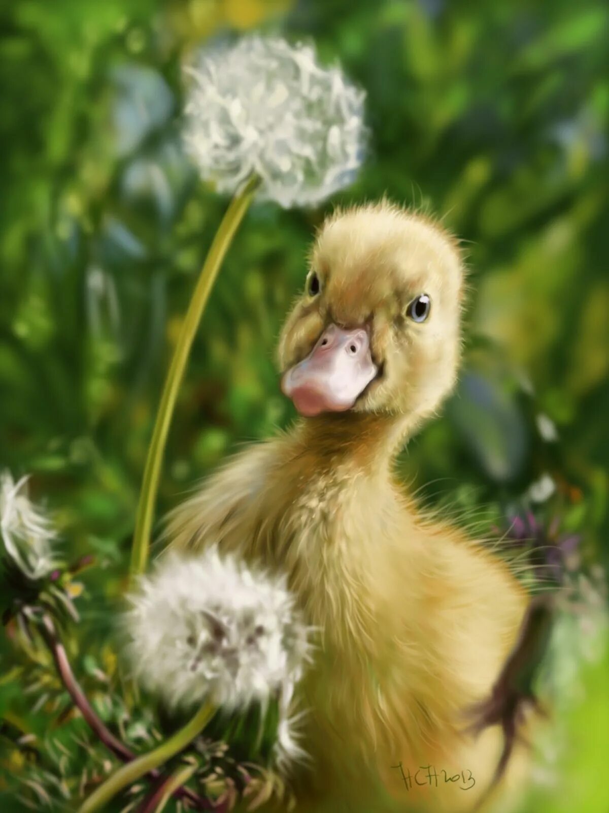 Fluffing a duck