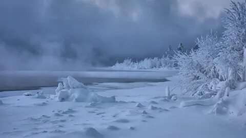В январских снегах замерзают