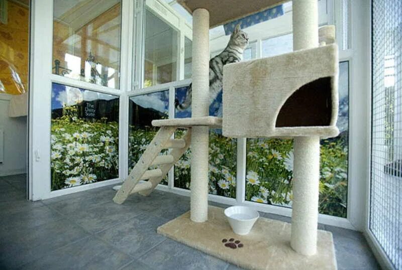 Отель для котов. Cat Cat гостиница для кошек. Домики для котов. Домик для котика. Домик для кошки большой.