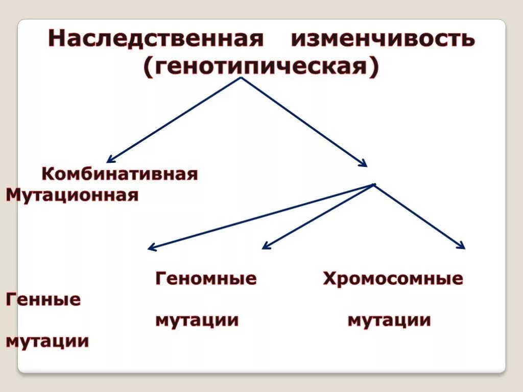 Наследственная комбинативная и мутационная. Наследственная изменчивость проект по биологии 9 класс. Генотипическая изменчивость таблица мутационная комбинативная. Наследственная генотипическая изменчивость. Изменчивость наследственная генотипическая комбинативная.