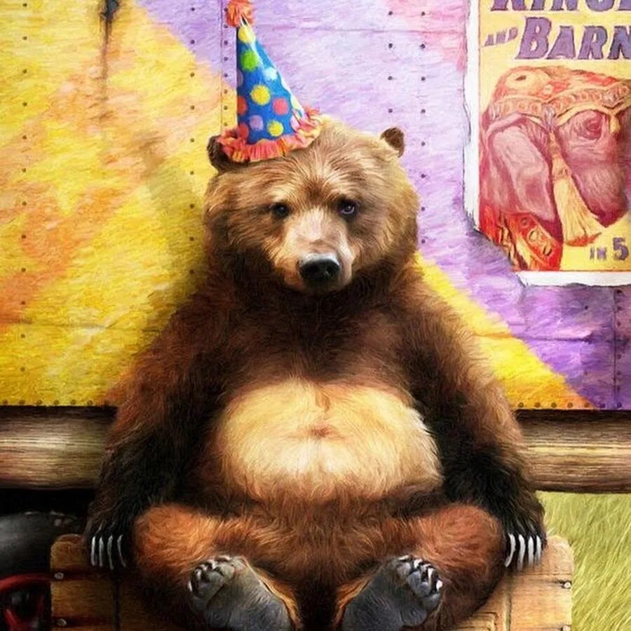 Прикольный медведь. С днем рождения медведь. Открытка с медведем. Смешной мишка. Открытка с днем рождения с медведем