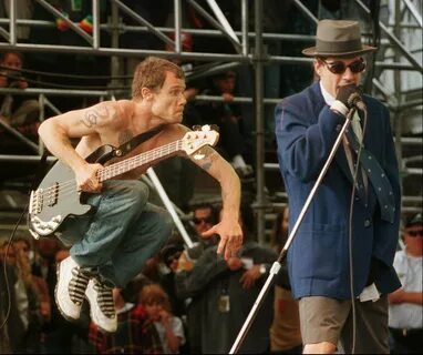 Chili peppers live