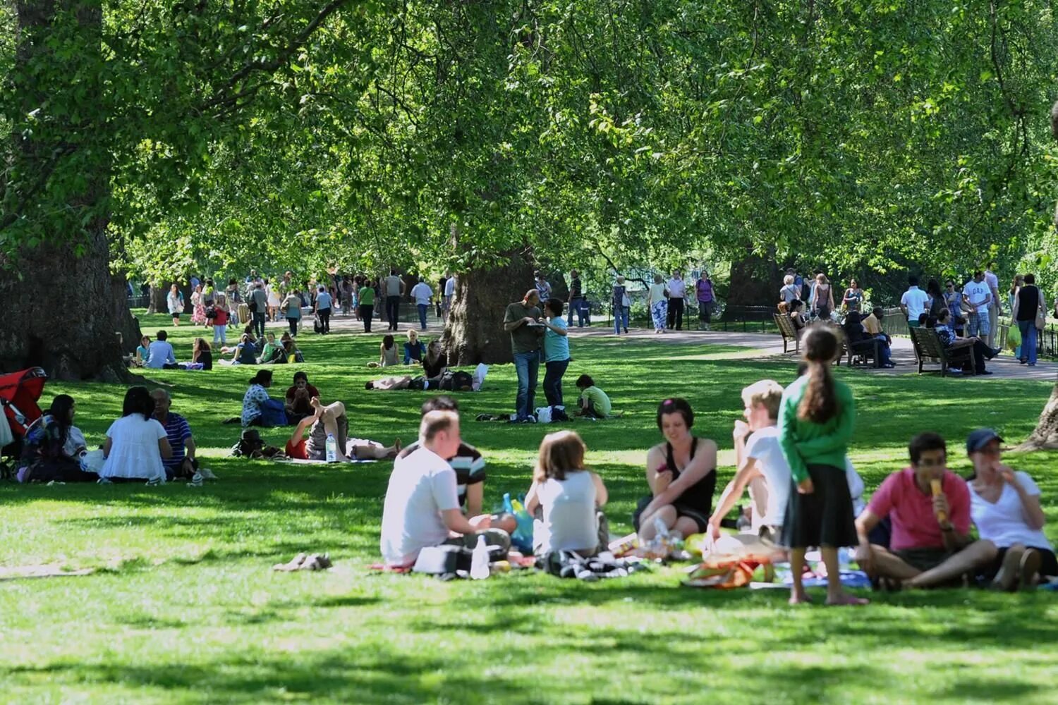 She s in the park. Холланд парк пикник. Люди в парке. Пикники в парках. Пикник в парке.