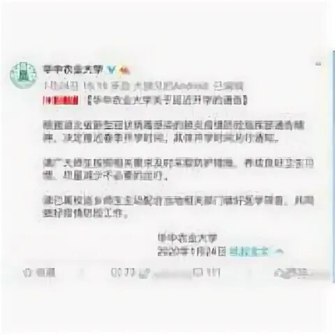 Когда китайские финансовые регуляторы выпустили уведомление