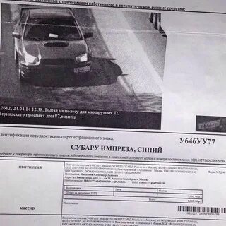 Получить протокол штрафа