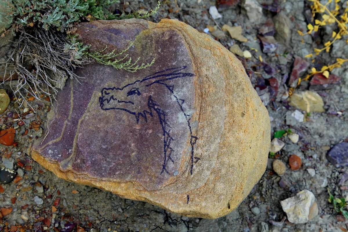 краснобрюхий полоз дагестан. голубая кобра с капюшоном. черноморская морская змея. гигантская анаконда. анаконда змея.