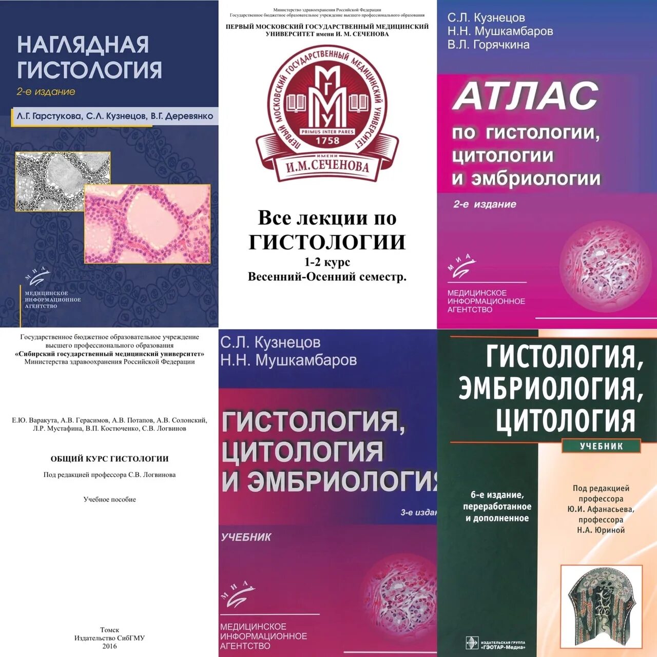 Гистология учебник. Кузнецов мушкамбаров гистология. учебник по гистологии кузнецов мушкамбаров. гистология учебник для медицинских вузов. методичка по гистологии.