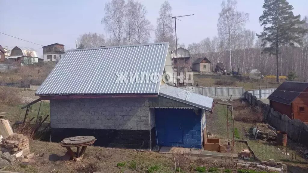 Дача на острове кудряш. Снт волна новосибирск остров кудряш. Пятигорск снт медик. Снт медик новосибирск. Снт медик владимирская область.