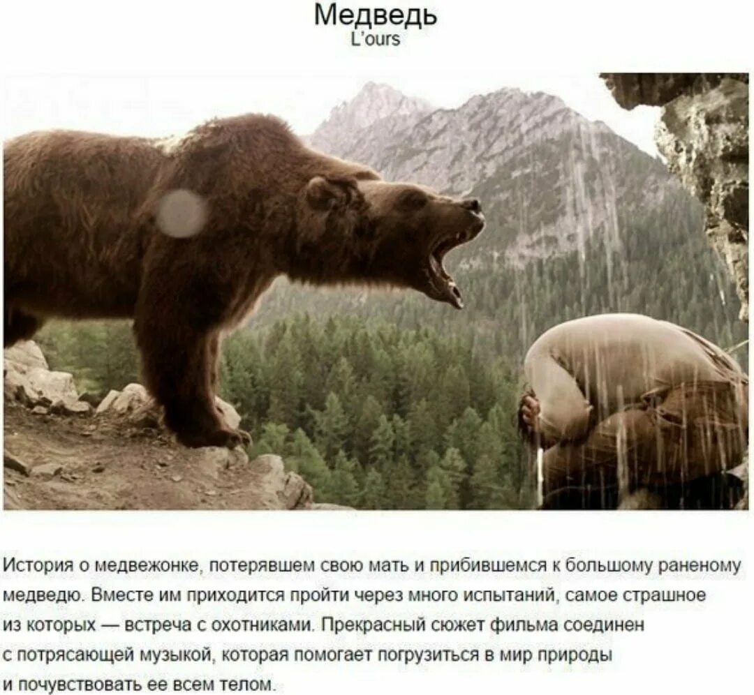 Злой дух ямбуя. Страшилки про медведя. Страшилки про медведя. Страшилки про медведя. Страшилки про медведя.
