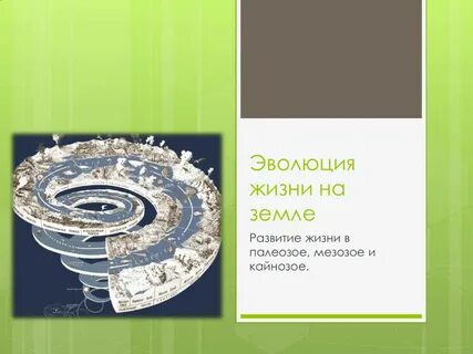 Коллекция развития