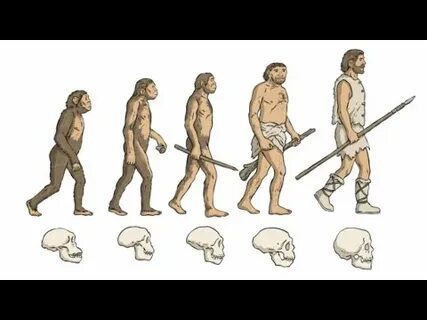 Human wiki