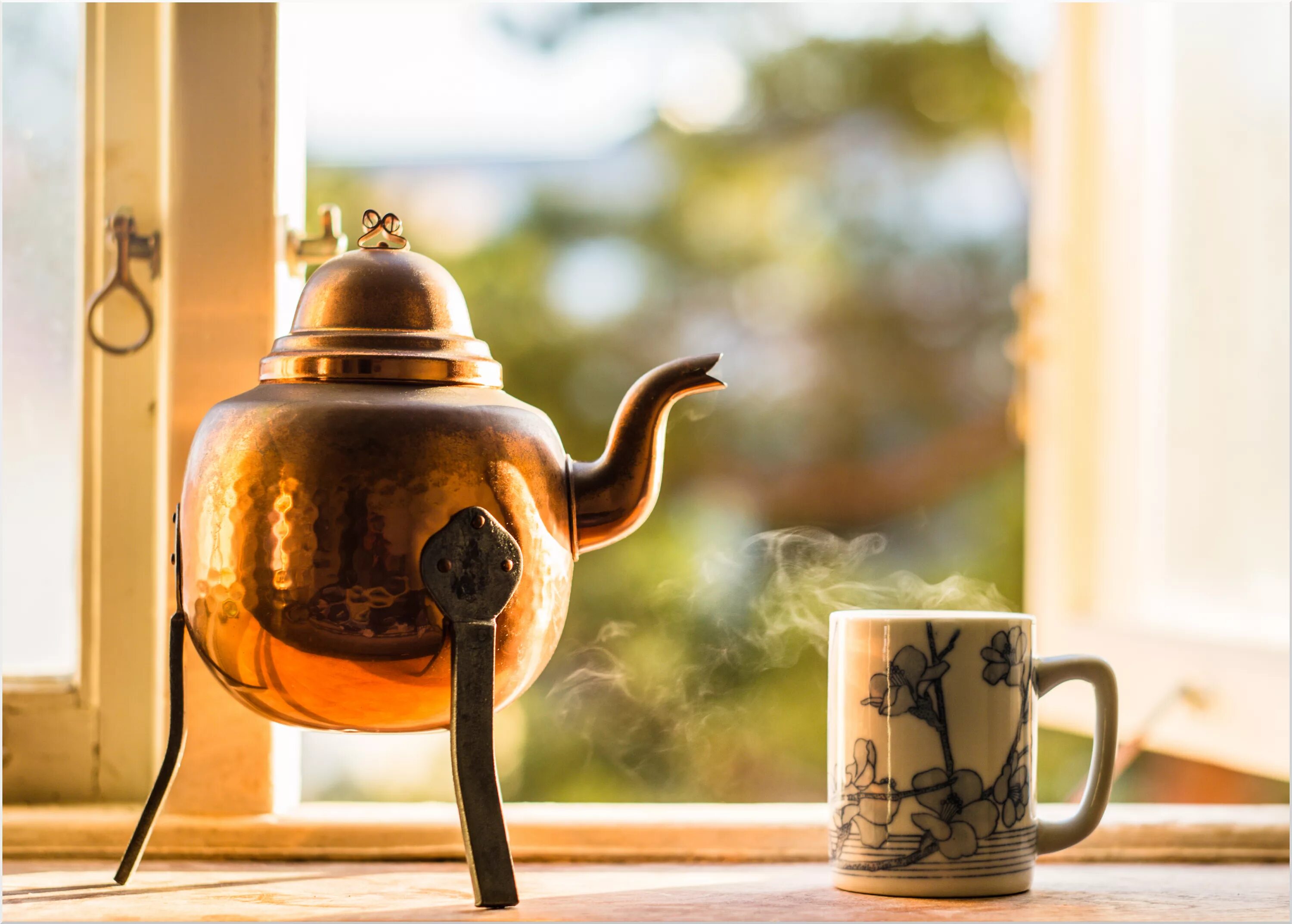 Утро кипеть. Чайник заварочный menu Teapot. Чай в чайнике. Красивый чайник. Необычные чайники.