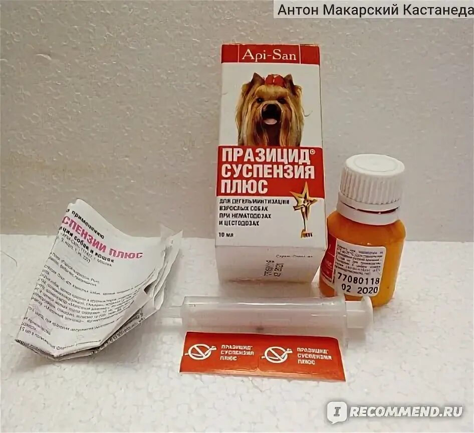 Против паразитов собак. От глистов для собак суспензия празицид. паразит суспензия плюс. празицид суспензия для собак крупных пород. суспензия от глистов для собак.