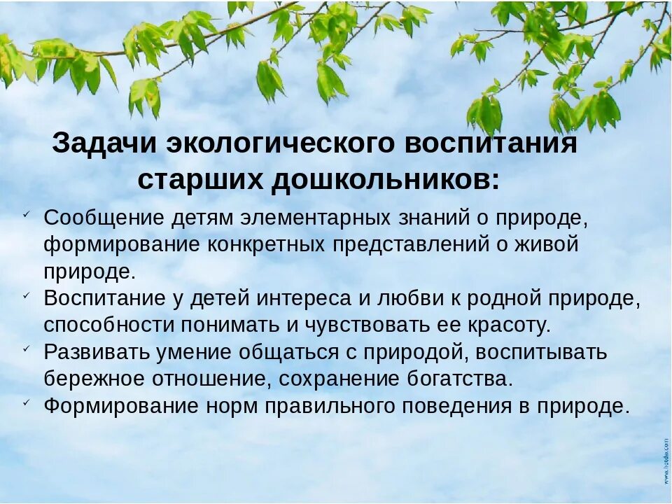 Экологическое развитие определение. Задачи экологического воспитания дошкольников. Цели и задачи экологического воспитания дошкольников. Задачи экологического воспитания в детском саду. Задачи экологического воспитания детей дошкольного возраста.