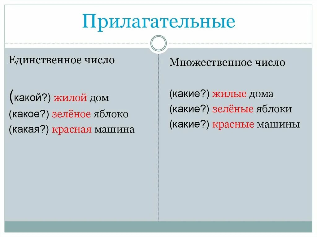 Дружба это единственное или множественное число. Прилагательные. Единственные и множественные прилагательные. Прилагательные в единственном и множественном числе 2 класс. Имена прилагательные в единственном и во множественном числе.