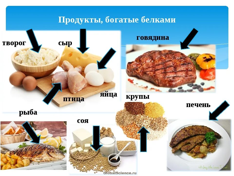 Белок в большом количестве. Продукты богатые белками. Продукты питания богатые белками. Продуктыбогатые ьелком. Продукты боготыебелком.