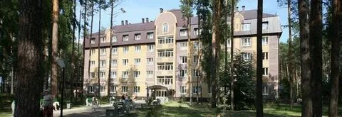 Сосновый бор васильево