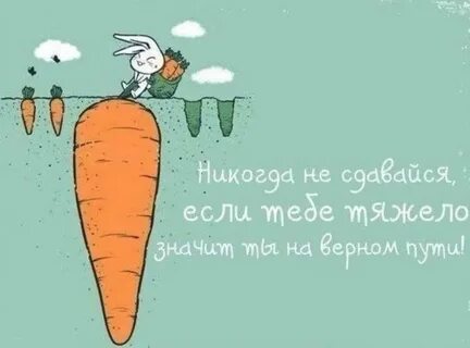 Каждый год становится тяжелее