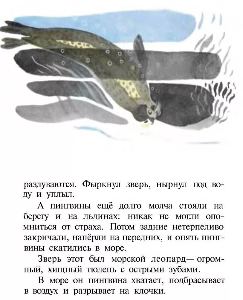 Чтение рассказов г. Снегирева «про пингвинов».. Рассказ г Снегирева про пингвинов текст. Г Снегирев рассказы про пингвинов. Снегирев рассказы текст