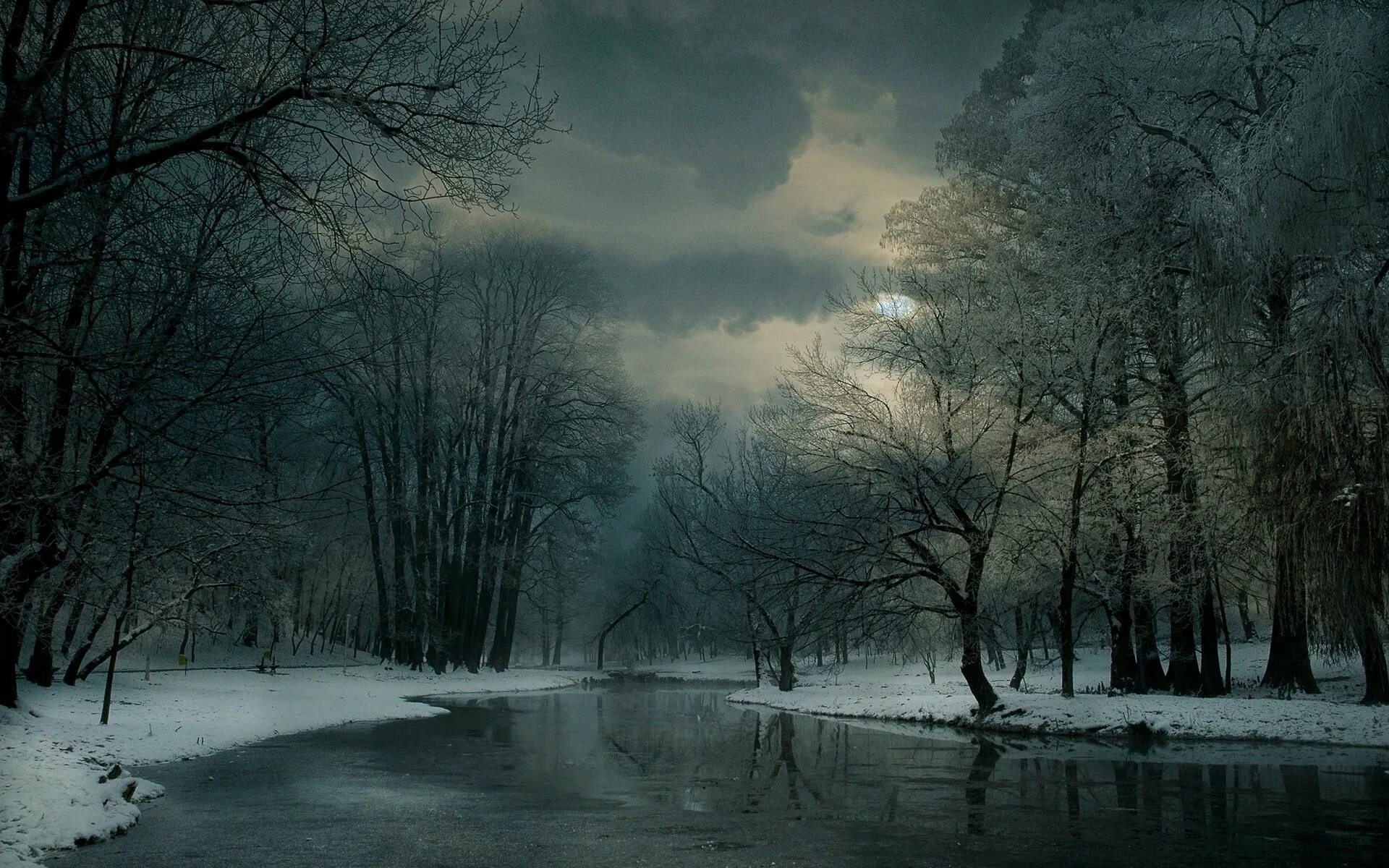 Темный холодный вечер. Мрачный пейзаж. Мрачная зима. Пасмурная зима. Мрачный зимний лес.