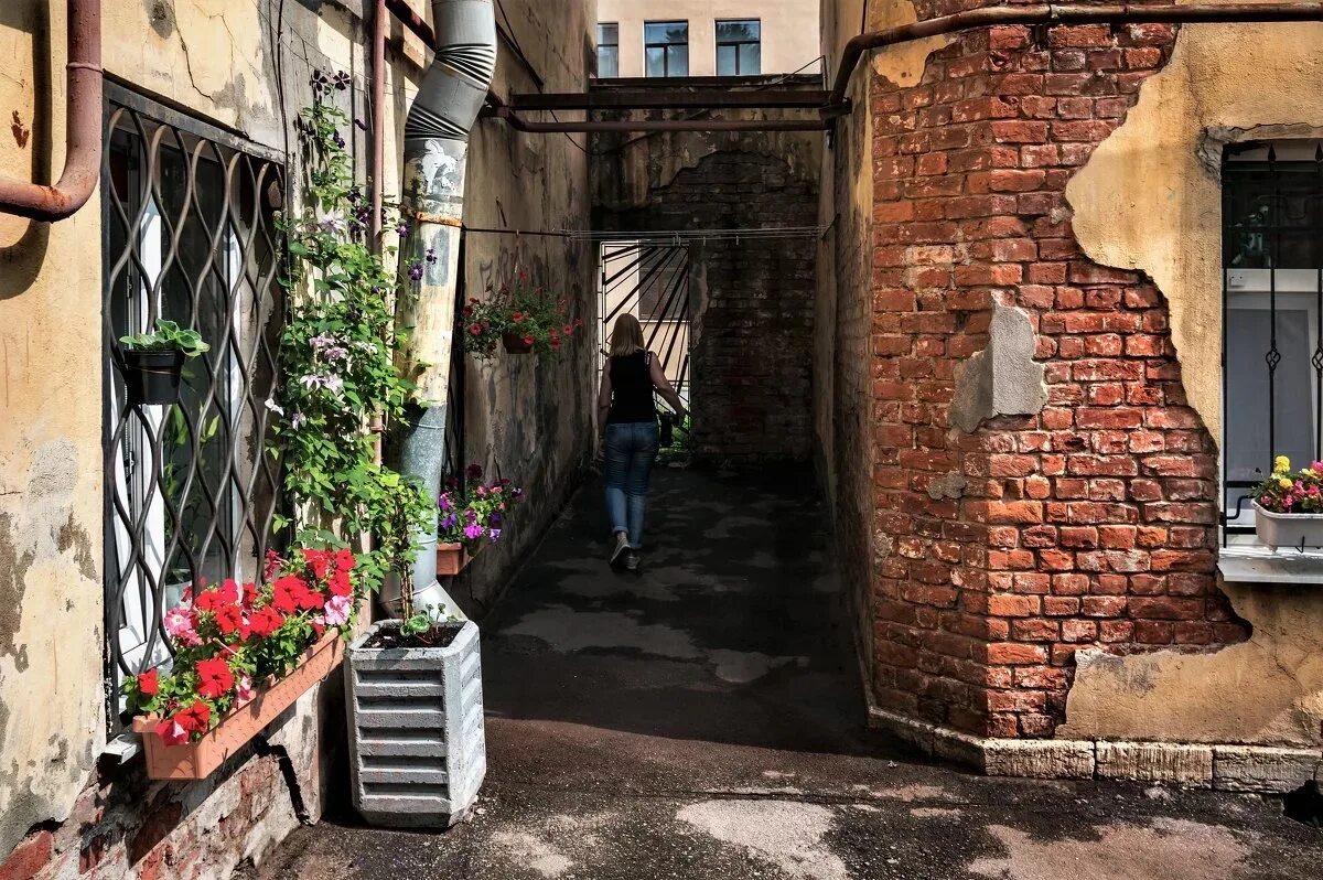 Подворотня мой дом. Старые дворы Санкт-Петербурга. Васильевский остров дворы подворотни. Зеленые питерские дворы. Подворотни на Васильевском острове.