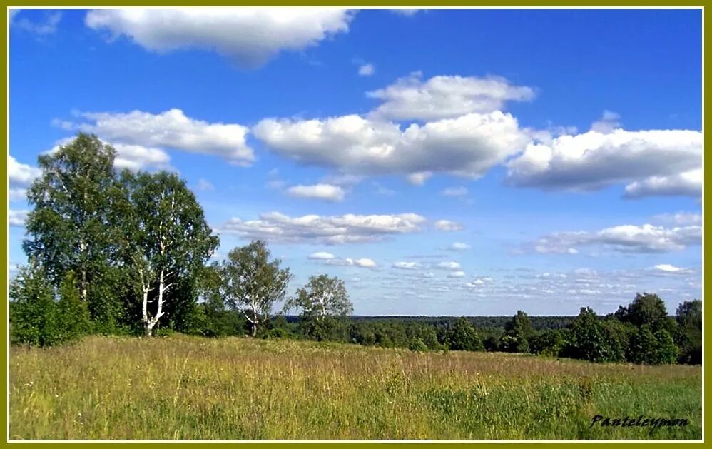 В родных местах дорога. Родина. Родина картинки. Русские просторы. Родные места России.