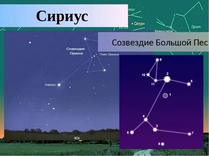 Где находится созвездие большого пса
