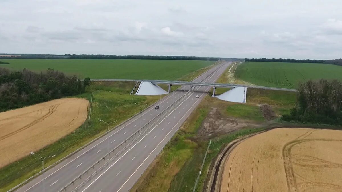 Дороги черноземья. Воронежская область дорога. Дорога в центре Воронеж. Дорога на Воронеж 1.