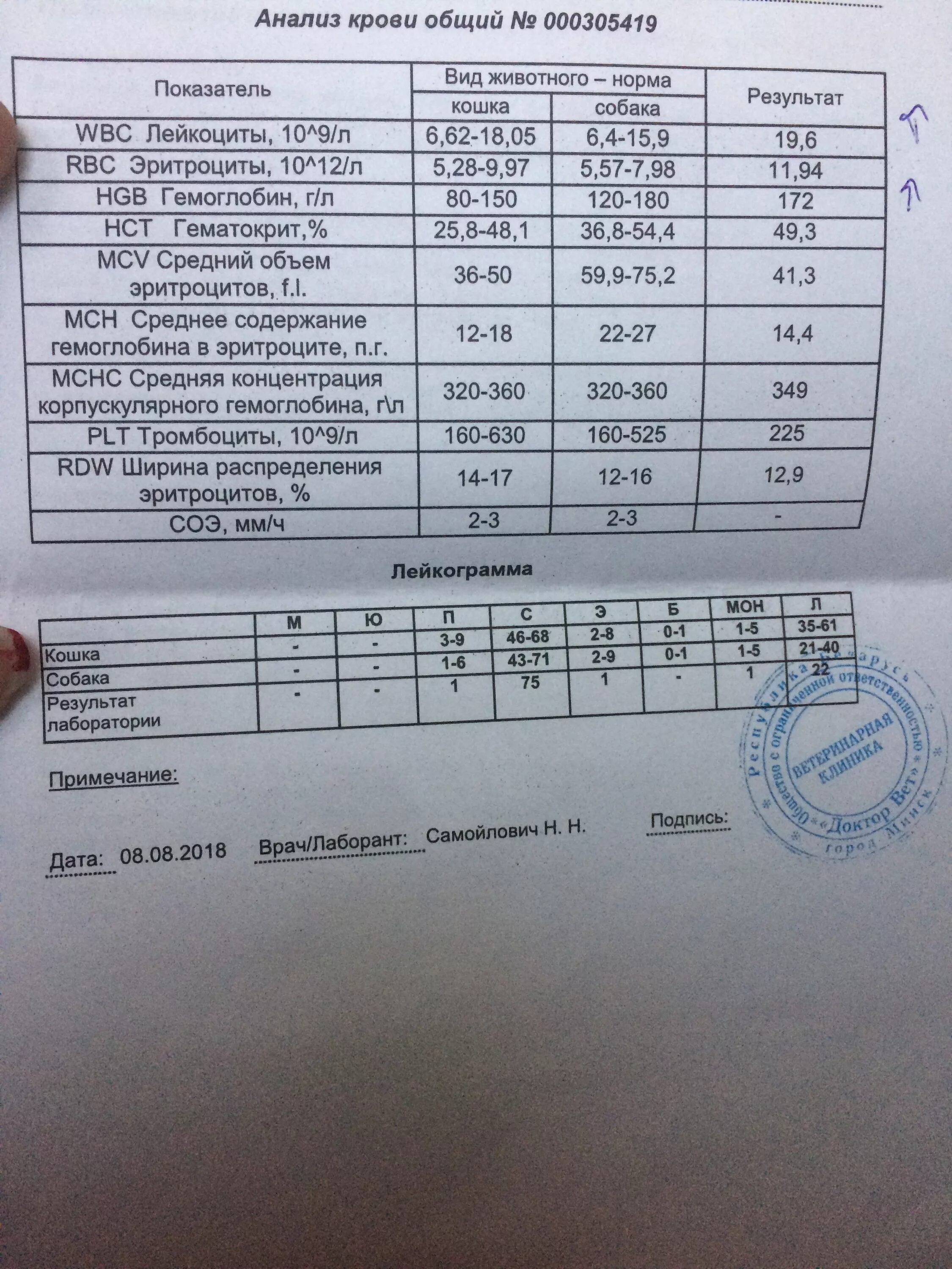 НСТ В анализе крови норма. Общий анализ крови WBC RBC HGB PLT. НСТ анализ крови расшифровка. НСТ анализ.