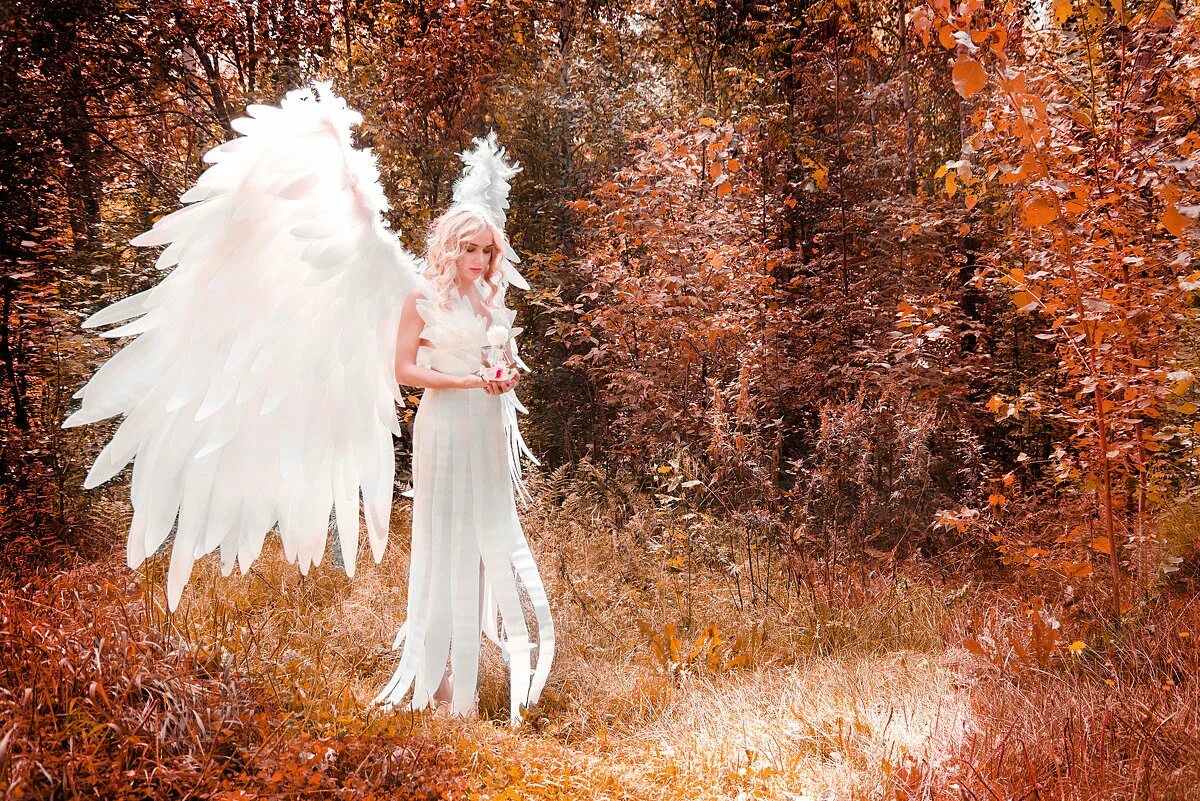 ангелов ангел ангелович. ангел с крыльями. амалиэль ангел. красивый ангел. ангелы хранители знаков зодиака.
