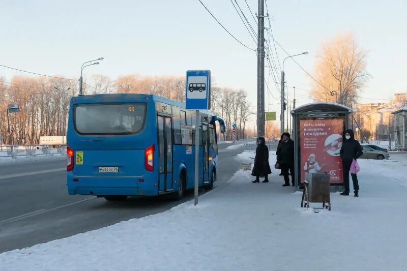 Автобусы Архангельск. Общественный транспорт Архангельска. Архангельский автобус. Маршрутный автобус.