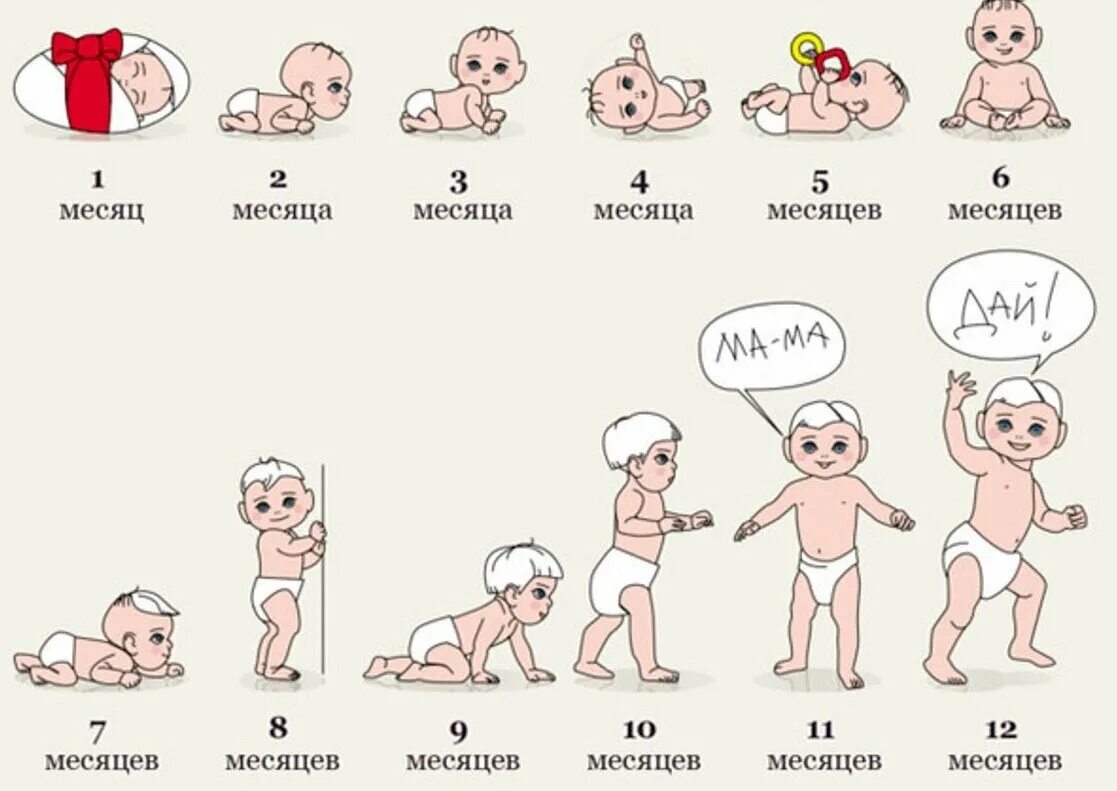 Что умеет ребенок в 1 3 месяца. Стадии развития грудничка по месяцам. таблица развития ребенка по месяцам до года. этапы развития детей по месяцам таблица. этапы развития новорожденного по месяцам.