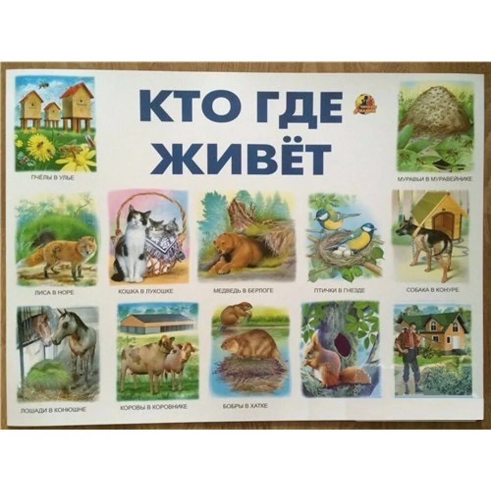 Картинки кто где живет животные для детей