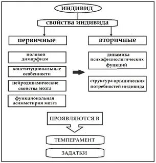 Индивид вторичен общество первично