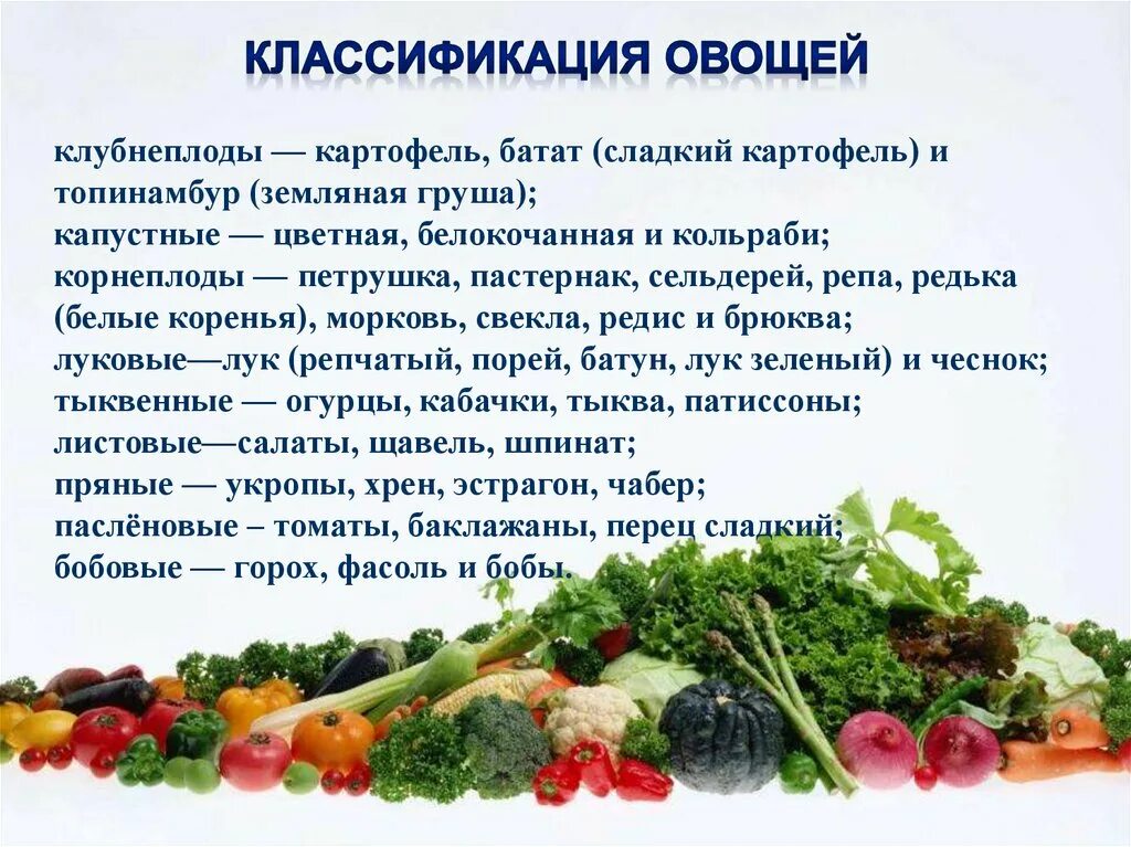 Классификация овощей. Овощи классификация овощей. Кулинарная классификация овощей. Классификация овощей таблица. Овощи входящие в группу