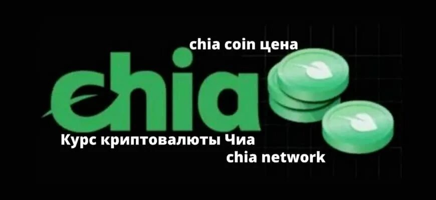 Chia Coin. Chia XCH. Чиа криптовалюта. Chia XCH монета. Сколько стоит нот койн