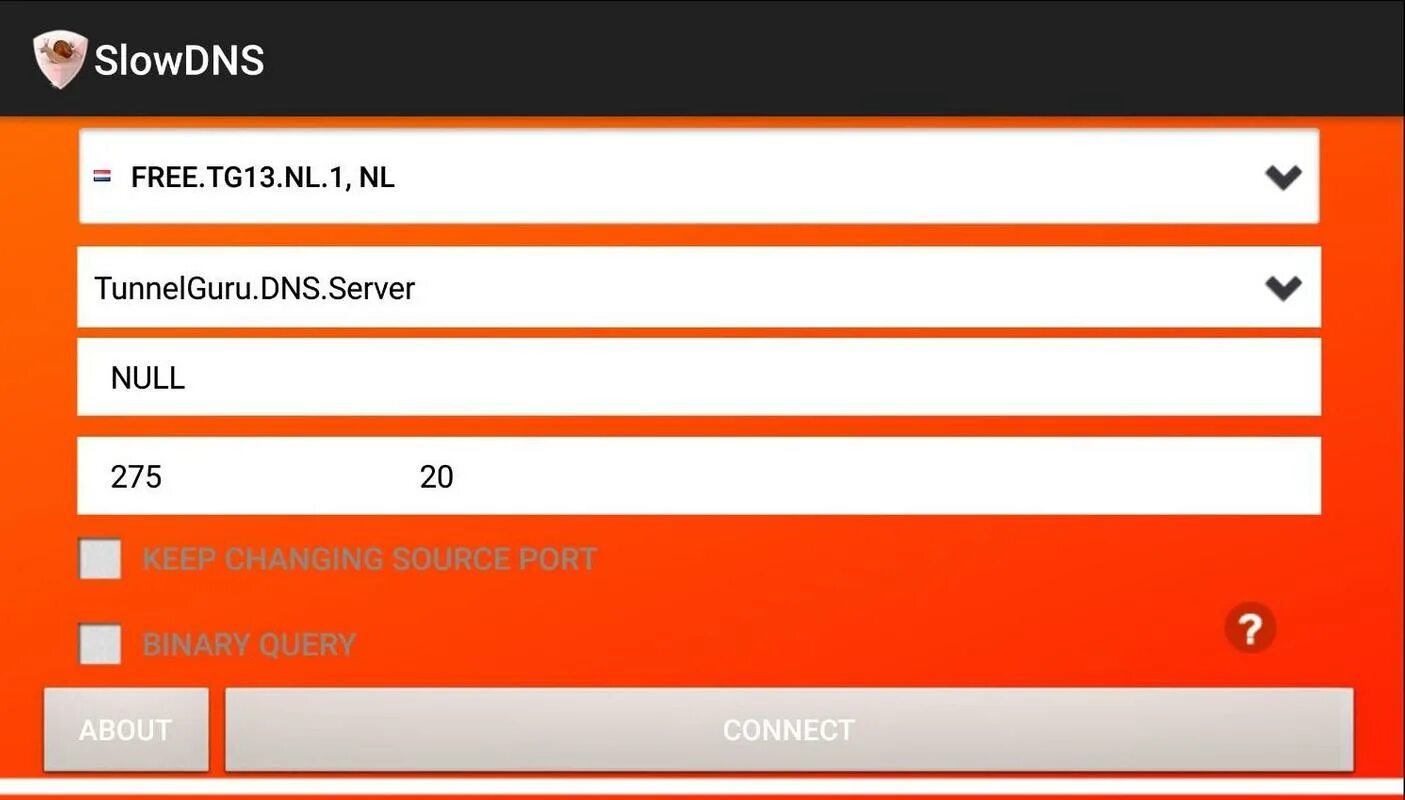 Днс сервер приложение. Slow dns. dns приложение. dns tunnel android.