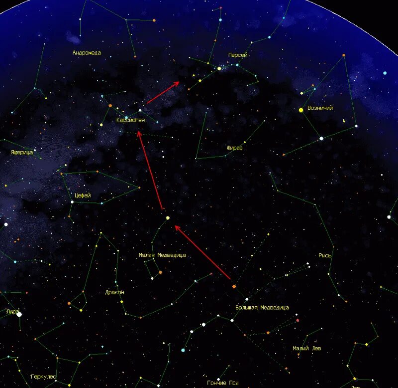 Местоположения звезд. Орион на карте звездного неба Северное полушарие. Кассиопея и Полярная звезда. Созвездие малая Медведица на карте звездного неба. Околополярные созвездия звездного неба.