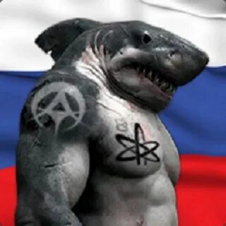 Накаченная акула