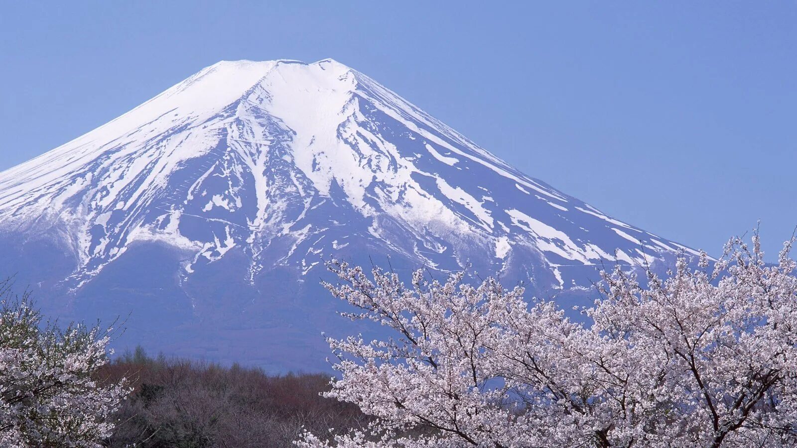 Вулкан Фудзияма в Японии. Гора Фудзияма (Фудзи). Гора Fuji Япония. Символ Японии - гора Фудзияма.. Фудзи чита сайт