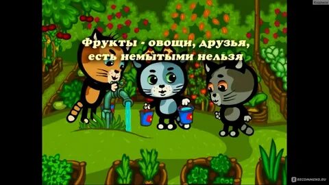 3 котенка есть